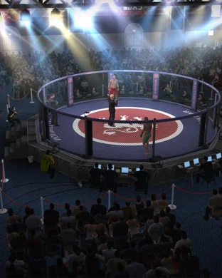 UFC 329