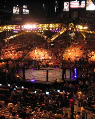 UFC 335