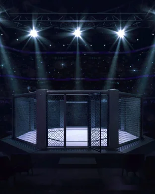 UFC 329: McGregor vs. Holloway 2